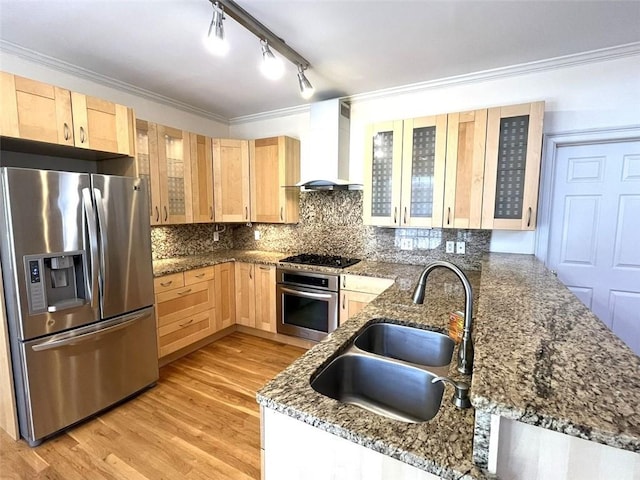 4770 Powers Park Ct NE, Marietta, GA 30067 - kitchen featuring stainless steel appliances, wall chimney range hood, light brown cabinets, a sink, and track lighting