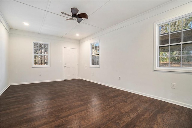 empty room with ceiling fan and dark hardwood / wood-style flooring