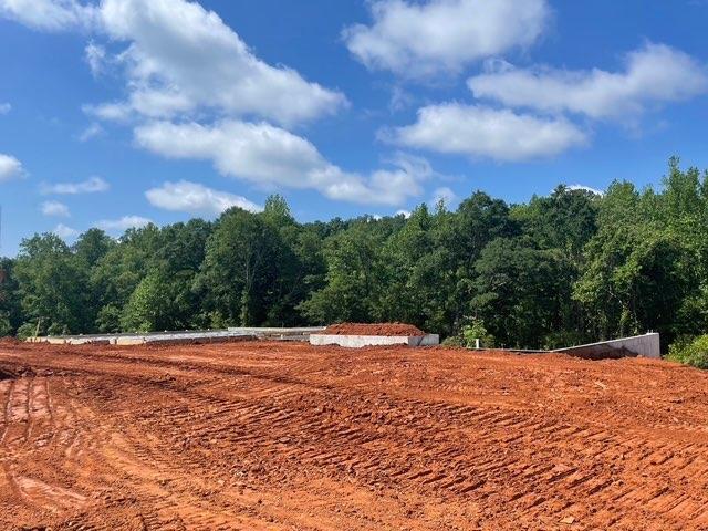 3065 Reserve Ct SW, Conyers, GA 30094 - view of wooded area