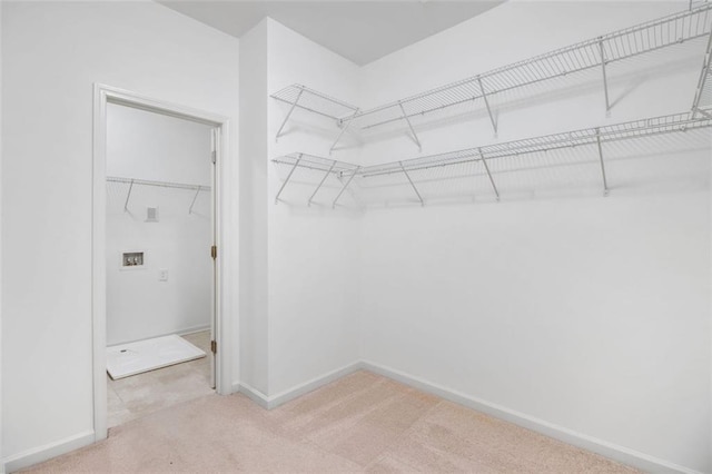 walk in closet featuring carpet flooring