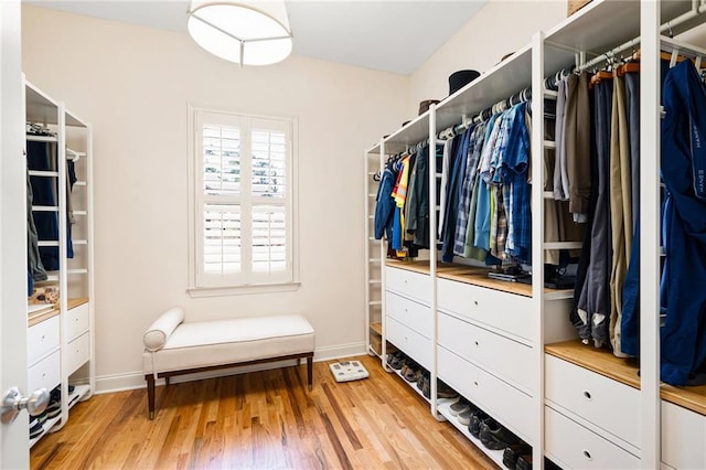 walk in closet with light wood-type flooring