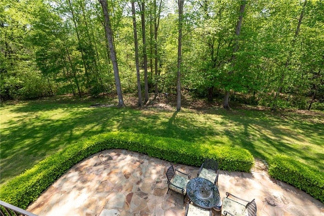 view of yard featuring a patio