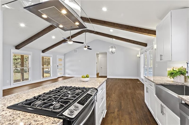 4178 Castle Pines Ct, Tucker, GA 30084 - kitchen featuring stainless steel appliances, dark wood finished floors, open floor plan, ceiling fan, and recessed lighting