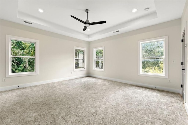 spare room with a healthy amount of sunlight, carpet flooring, a tray ceiling, and ceiling fan