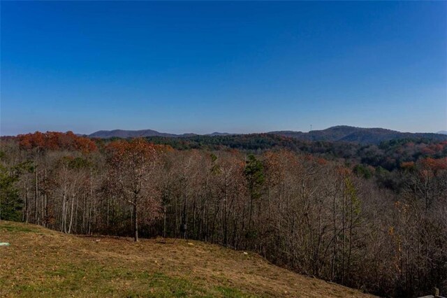 property view of mountains