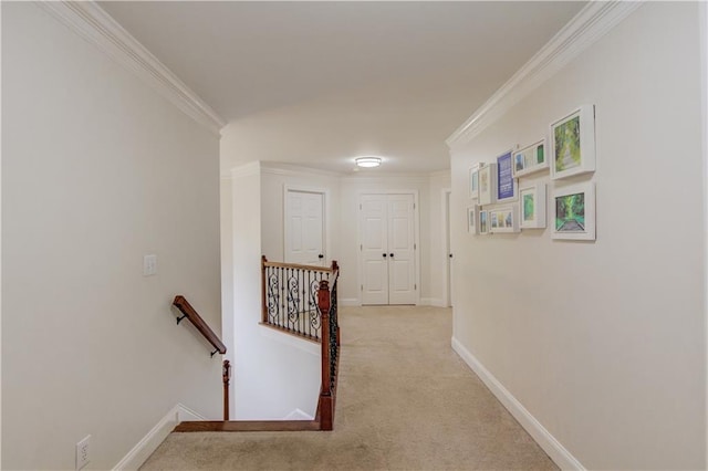 hall featuring crown molding and light colored carpet