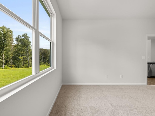spare room featuring healthy amount of natural light, baseboards, and carpet flooring