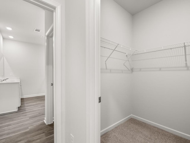 spacious closet with a sink