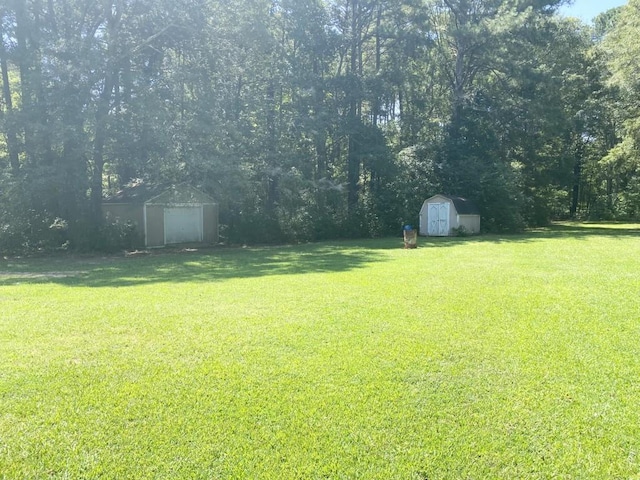 view of yard with a garage, an outdoor structure, and a shed