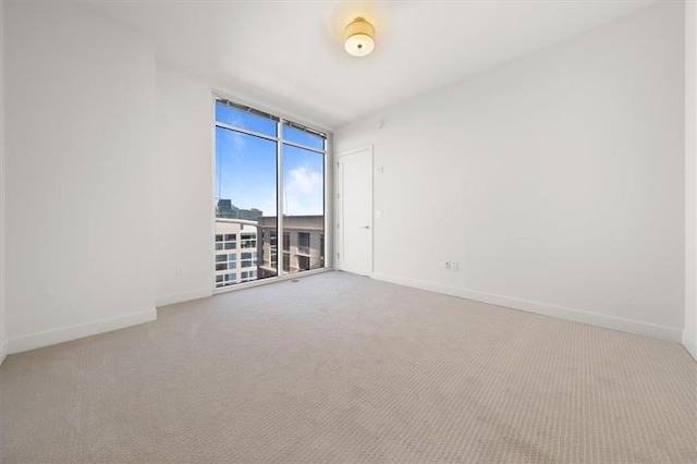 carpeted empty room with a wall of windows