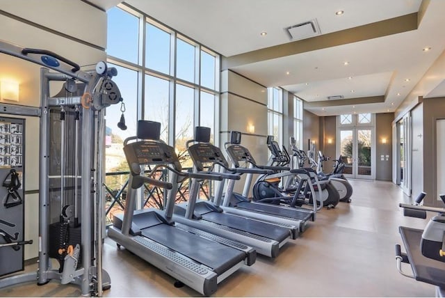 workout area featuring expansive windows, a raised ceiling, and a high ceiling