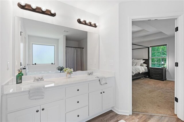bathroom with connected bathroom, double vanity, baseboards, and a sink