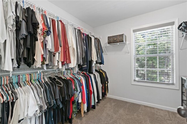 spacious closet with carpet floors
