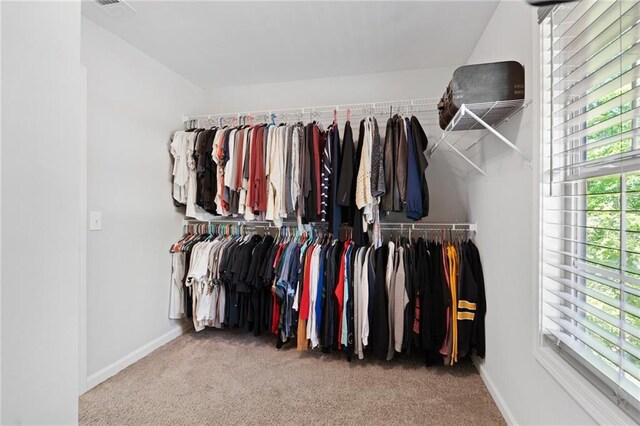 spacious closet featuring visible vents and carpet