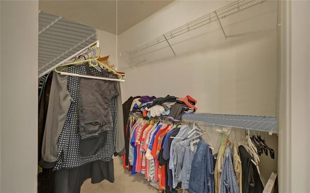 6003 Rollingwood Way, Hoschton, GA 30548 - walk in closet featuring carpet flooring