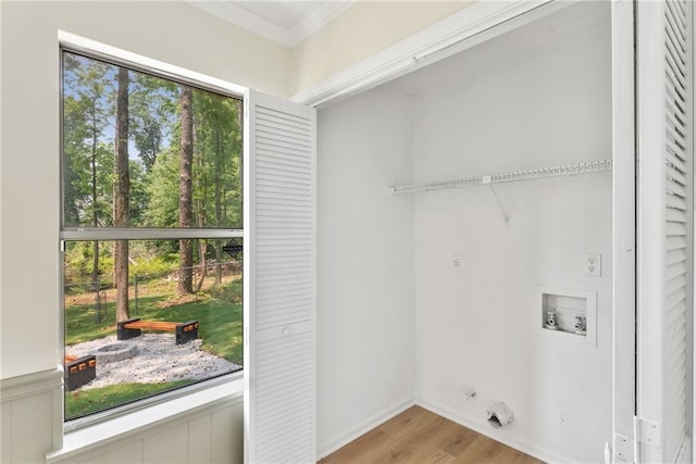 5759 Albans Way, Lithonia, GA 30058 - laundry area with healthy amount of natural light, light wood-style flooring, crown molding, and washer hookup