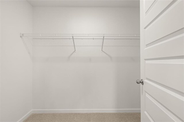 walk in closet with carpet