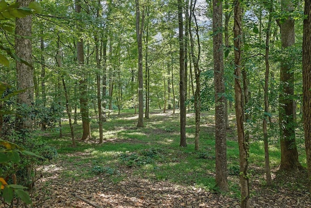 2010 Riverside Rd, Roswell, GA 30076 - view of woods