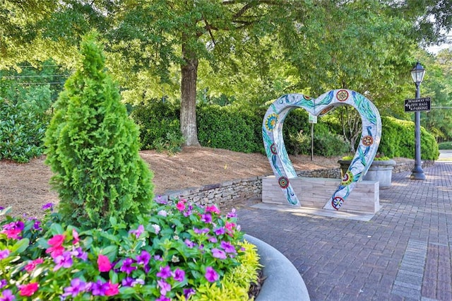 2010 Riverside Rd, Roswell, GA 30076 - view of community
