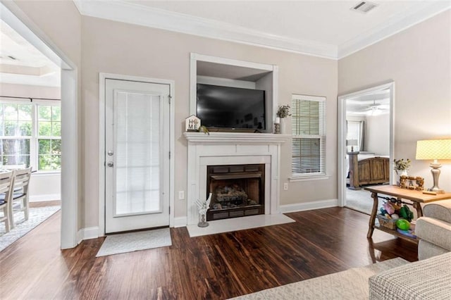102 Blackstone Ct, Kathleen, GA 31047 - living area featuring wood finished floors, ornamental molding, baseboards, a fireplace with flush hearth, and a ceiling fan