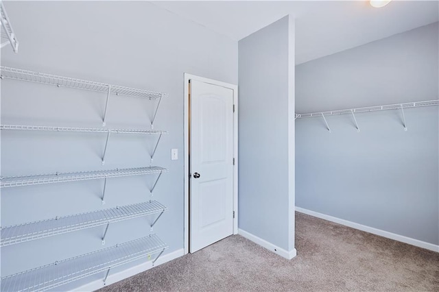 spacious closet with carpet flooring