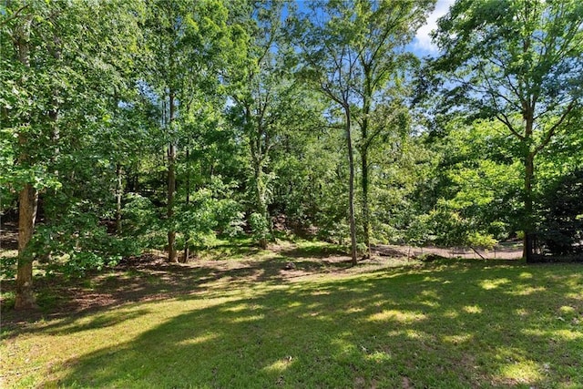 5995 Wellington Ave, Gainesville, GA 30506 - view of grassy yard