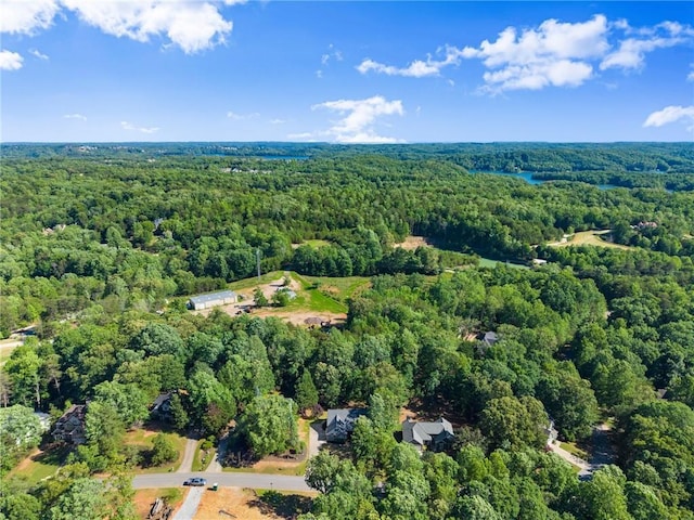 5995 Wellington Ave, Gainesville, GA 30506 - aerial view of property's location featuring a heavily wooded area