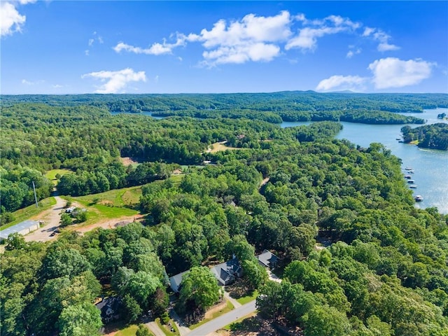 5995 Wellington Ave, Gainesville, GA 30506 - bird's eye view of a heavily wooded area and a nearby body of water