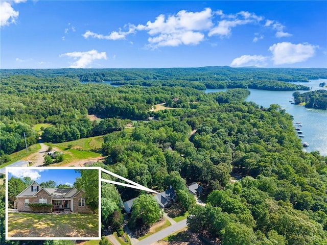 5995 Wellington Ave, Gainesville, GA 30506 - view of subject property with a forest, property parcel outlined, and a large body of water