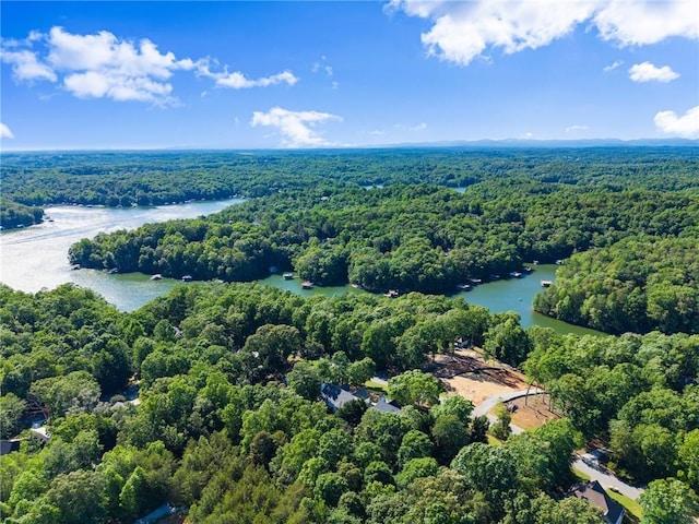 5995 Wellington Ave, Gainesville, GA 30506 - drone / aerial view of a forest and a nearby body of water