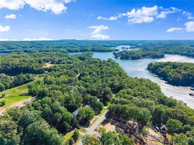 5995 Wellington Ave, Gainesville, GA 30506 - aerial view of a forest and a large body of water