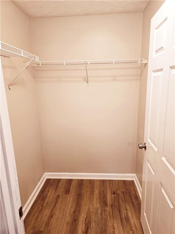 walk in closet featuring hardwood / wood-style floors