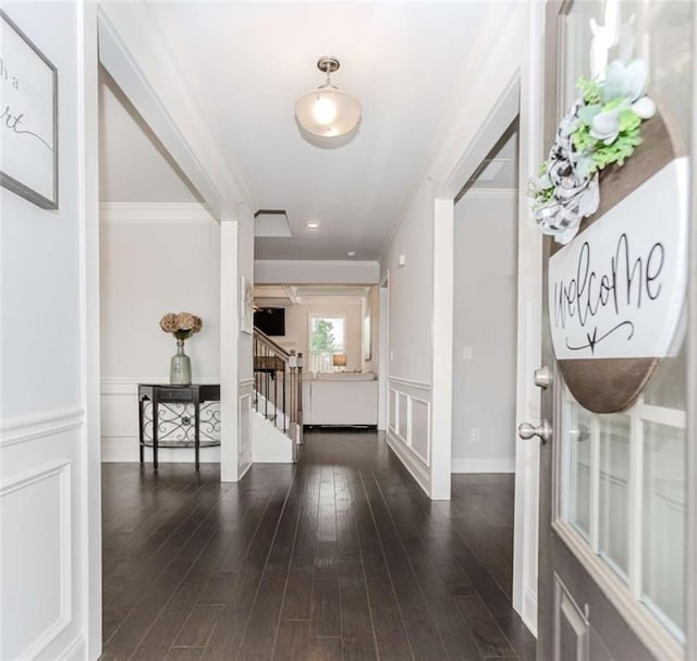 72 Whistling Dr, Jefferson, GA 30549 - hall with stairs, hardwood / wood-style floors, and ornamental molding