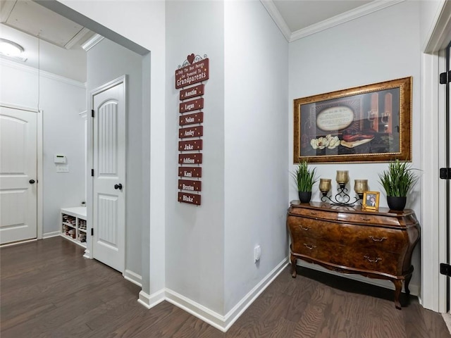 hall with dark wood-type flooring and ornamental molding