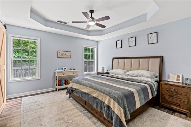 115 Donna Dr, Dawsonville, GA 30534 - bedroom featuring a raised ceiling, multiple windows, and wood finished floors