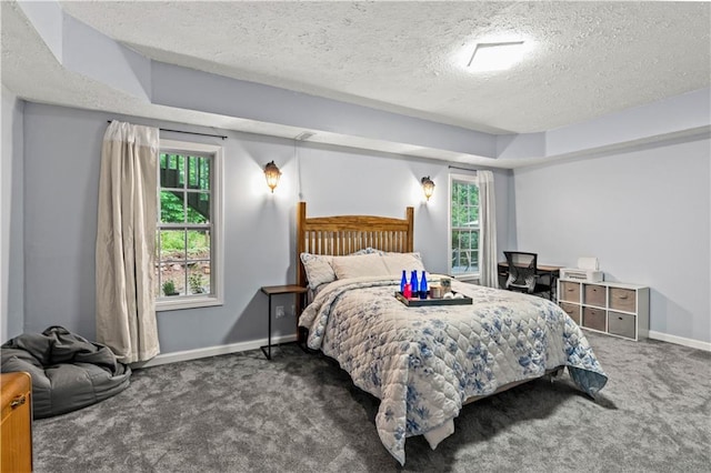 115 Donna Dr, Dawsonville, GA 30534 - carpeted bedroom featuring a textured ceiling and multiple windows