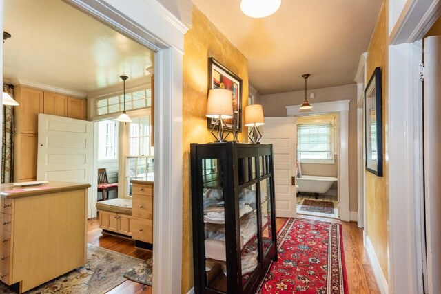 hallway with hardwood / wood-style floors