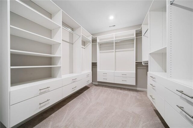 spacious closet with light colored carpet