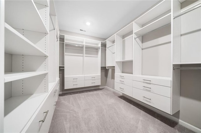 spacious closet featuring carpet