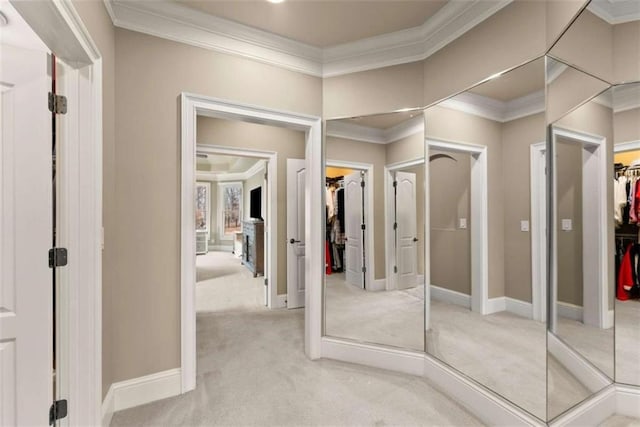 bathroom featuring ornamental molding