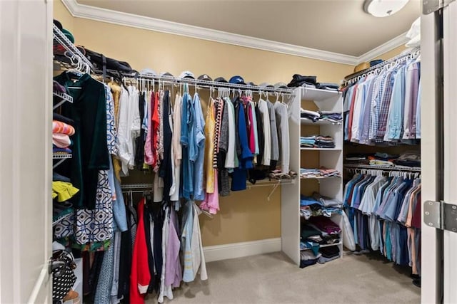 spacious closet featuring carpet flooring