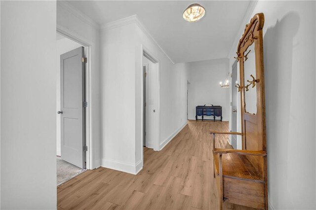 hall featuring light hardwood / wood-style floors and crown molding