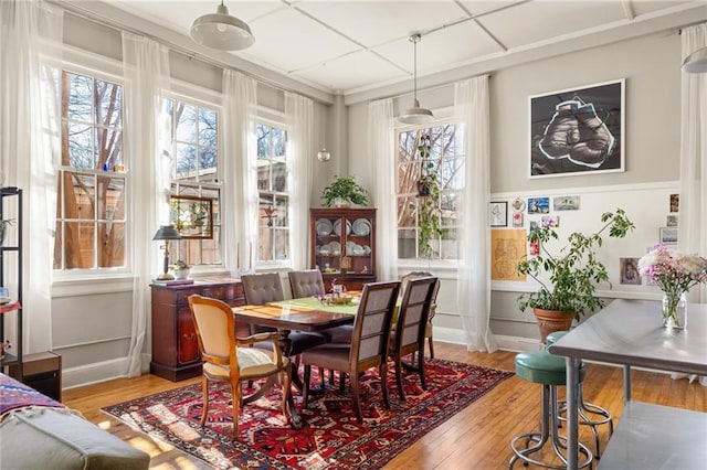 interior space featuring wood finished floors and a paneled ceiling