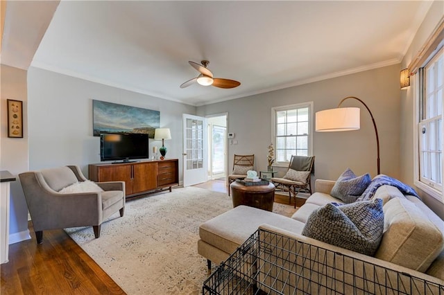 living room with dark hardwood / wood-style floors, ceiling fan, and ornamental molding