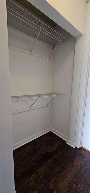 walk in closet with dark hardwood / wood-style floors