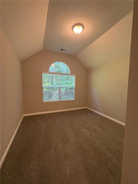 12 Barrington Ct, Sharpsburg, GA 30277 - additional living space with a textured ceiling, lofted ceiling, and dark carpet