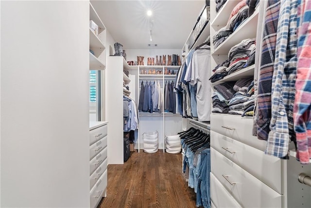175 Centennial Trce, Roswell, GA 30076 - spacious closet featuring wood finished floors