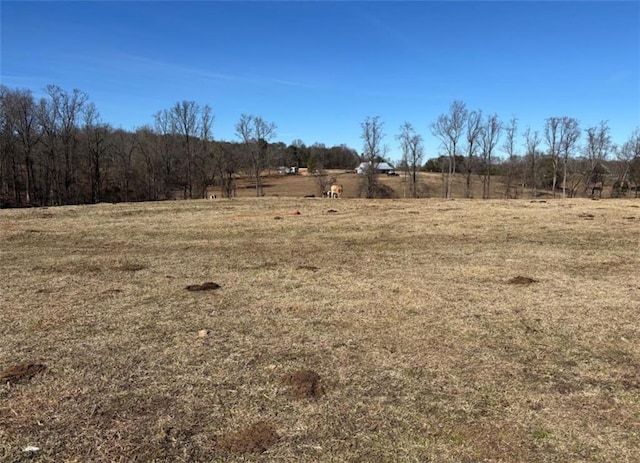 0 Mountain Creek Church Rd, Pendergrass GA, 30567 land for sale