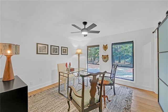 dining area featuring ceiling fan, a barn door, and light wood-type flooring