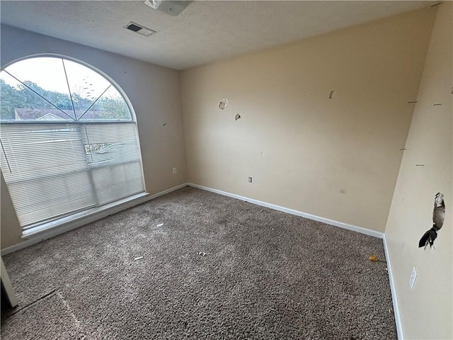 empty room with carpet and a textured ceiling